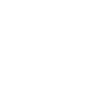 zszsz